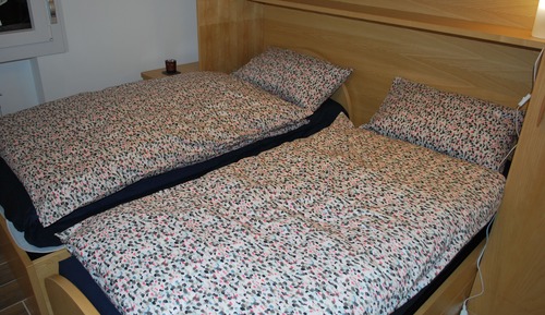 Chambre Standard avec lits jumeaux, 1 chambre, salle de bains privée