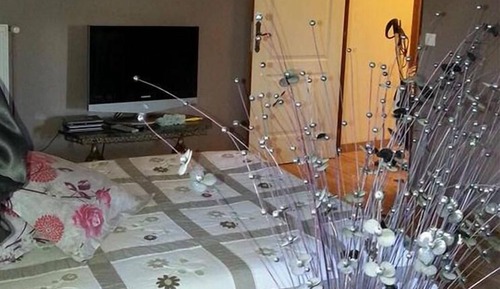 Chambre Familiale (Zen)