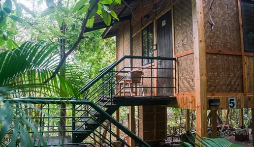 Tree House
