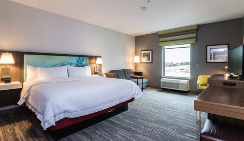 Chambre, 1 très grand lit et 1 canapé-lit, réfrigérateur et four à micro-ondes