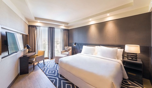 Suite Exécutive (Lounge Access)