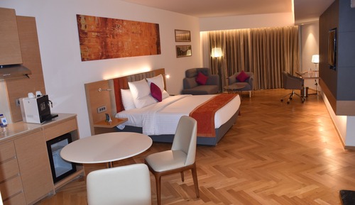 Family Studio Room - Queen Bed