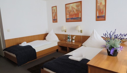 Chambre Double ou avec lits jumeaux
