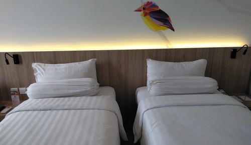 Chambre Supérieure avec lits jumeaux, 2 lits une place