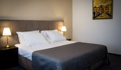 Chambre Double Supérieure, 1 grand lit, vue parc