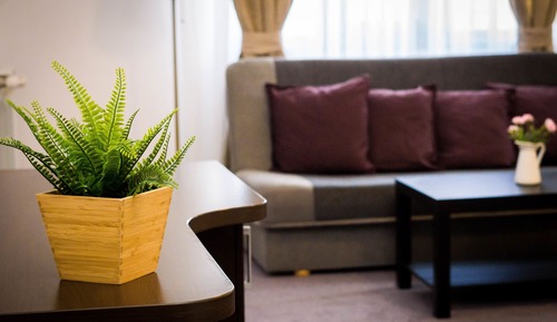 Suite Studio Supérieure, 1 très grand lit et 1 canapé-lit, vue jardin