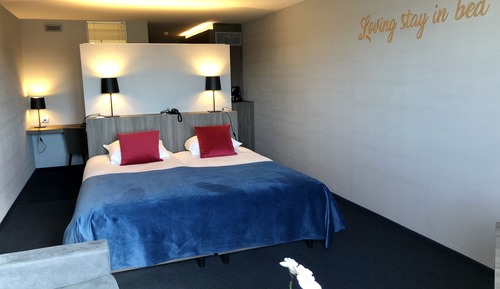 Chambre Confort Double ou avec lits jumeaux