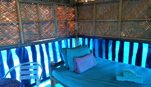 Tree House Panoramique