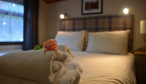 Chalet, 2 chambres, vue jardin (Pet Friendly)