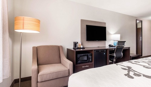 Suite, 1 très grand lit et 1 canapé-lit, non-fumeurs