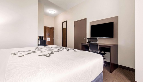 Chambre, 1 très grand lit, accessible aux personnes à mobilité réduite, non-fumeurs (Roll-In Shower)