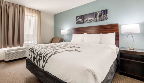 Chambre Standard, 1 très grand lit, non-fumeurs