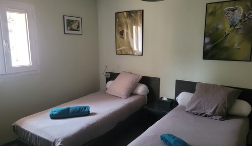 Chambre Premium avec lits jumeaux, salle de bains attenante (Twin 9)