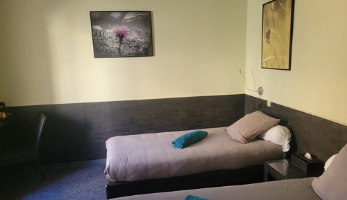 Chambre Standard avec lits jumeaux, salle de bains attenante (Twin)