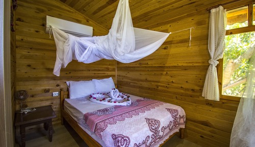 Chambre Standard avec lits jumeaux, 1 chambre