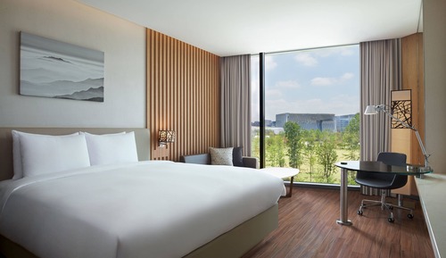 Chambre, 1 très grand lit, vue parc