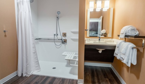Studio, 1 très grand lit et 1 canapé-lit, non-fumeurs (Mobility Accessible, Roll-In Shower)