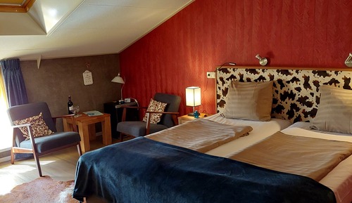 Chambre Double Confort, 2 lits une place (witrik)