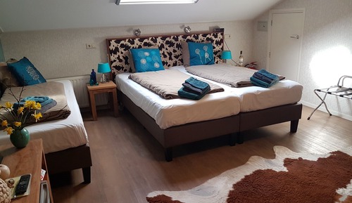 Chambre Familiale, 3 lits une place, non-fumeurs (Blaarkop)