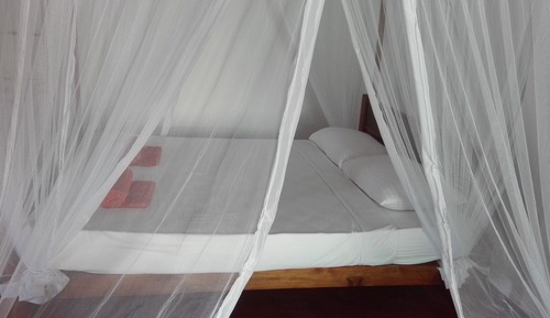 Chambre Triple Deluxe, 1 chambre, cuisine, vue jardin