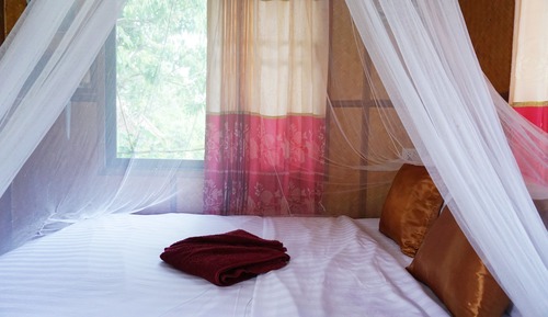 Chambre Simple Standard, 1 chambre, vue jardin