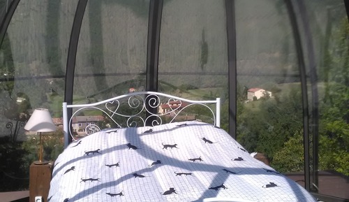 Cabane (Glass)