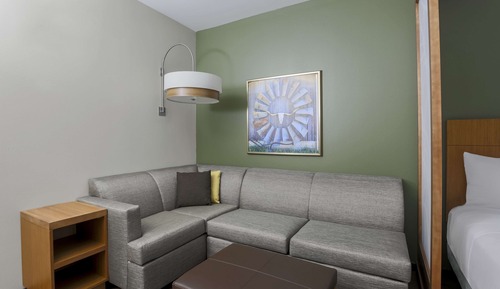 Chambre, 1 très grand lit et 1 canapé-lit, accessible aux personnes à mobilité réduite (with Shower)