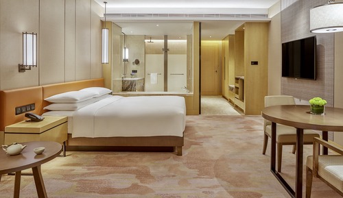 Chambre, 1 très grand lit