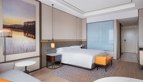 Chambre, 1 très grand lit
