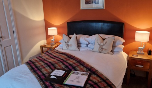 Chambre Simple Deluxe