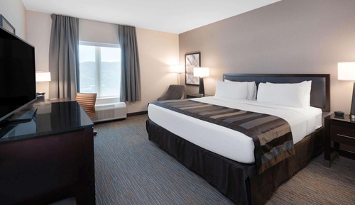 Chambre, 1 très grand lit, accessible aux personnes à mobilité réduite, non-fumeurs (Roll-in Shower)