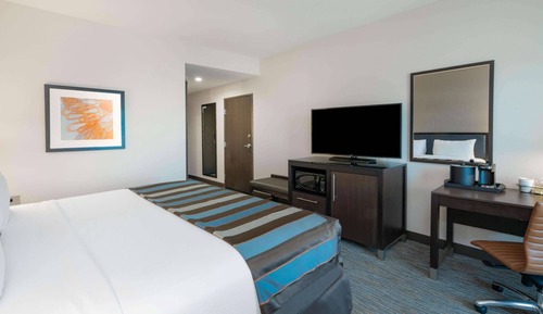 Chambre, 1 très grand lit, accessible aux personnes à mobilité réduite (Bathtub W/grab Bars)