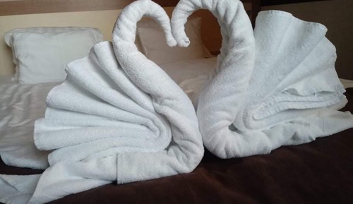 Appartement Standard