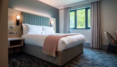Chambre Double Standard, 1 lit double