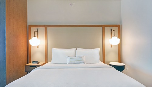 Suite, 1 très grand lit et 1 canapé-lit (Hearing Accessible)