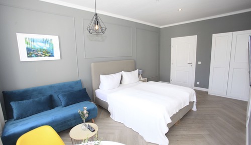 Chambre Confort, 1 grand lit et 1 canapé-lit (with private sauna)