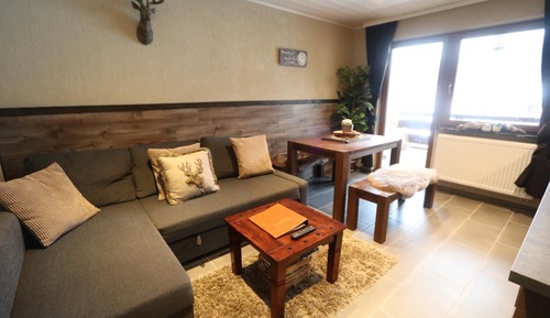 Appartement, 1 chambre, terrasse, vue montagne (2)