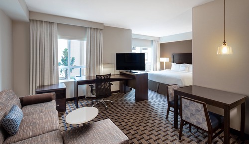 Suite Studio, 1 très grand lit et 1 canapé-lit (Hearing Accessible)