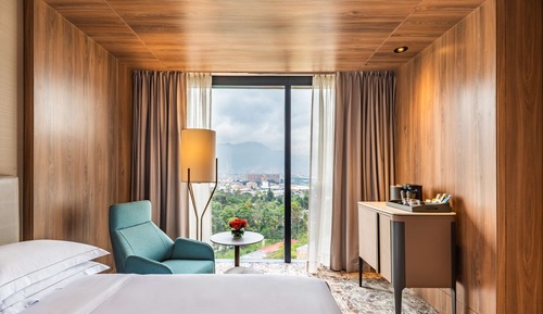 Chambre, 1 très grand lit (Roll-In Shower, Mobility & Hearing)