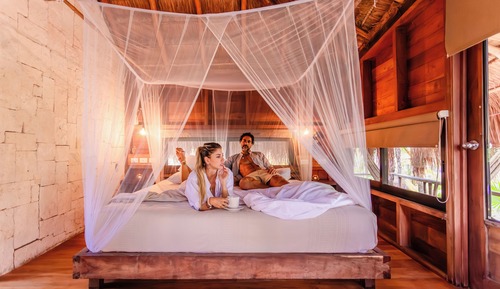 Bungalow Deluxe, 1 très grand lit et 1 canapé-lit, non-fumeurs, vue jardin
