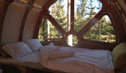 Tree House Design (Oddis Öga)