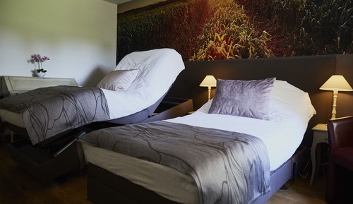 Chambre Supérieure avec lits jumeaux