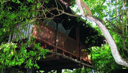 Tree House Familiale (Tano)