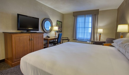 Chambre Deluxe, 1 très grand lit, accessible aux personnes à mobilité réduite (Roll in Shower)