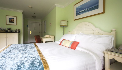 Chambre Standard, 1 grand lit (Queen Bed)