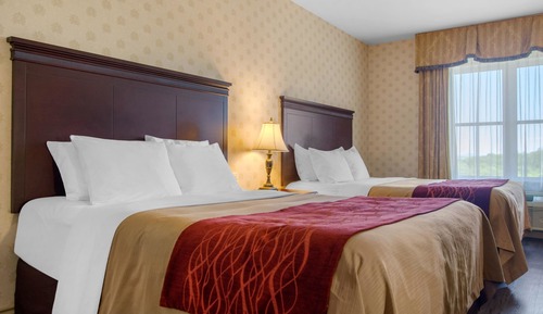 Chambre Standard, 2 grands lits, non-fumeurs