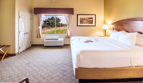 Suite, 1 très grand lit, accessible aux personnes à mobilité réduite, vue lac (Tub with Grab Bars)