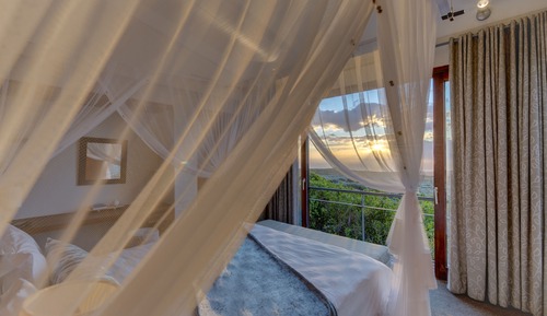Suite Luxe, 1 chambre ( Forest Lodge)