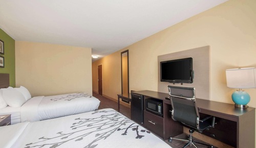 Chambre, 2 lits doubles, accessible aux personnes à mobilité réduite, non-fumeurs