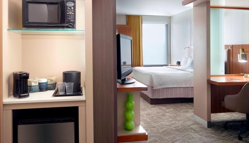 Suite, 1 très grand lit et 1 canapé-lit (Mobility/Hearing Access, Roll-In Shwr)